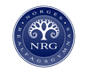 Logo NRG Norges Realfagsgymnas